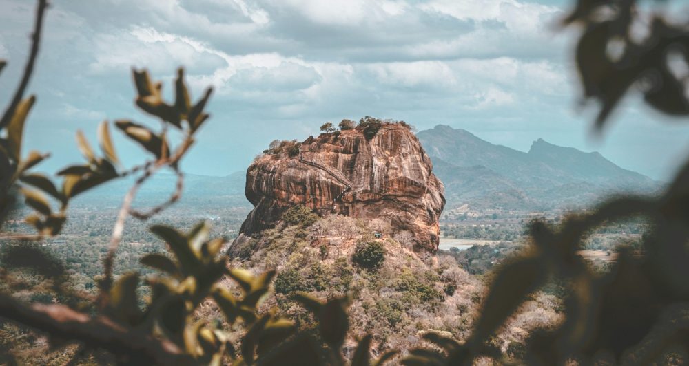 WP Travel Dashboard Thumbnail